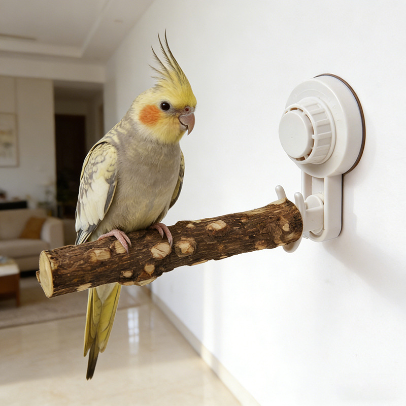 Parrot Stand with Suction Cup  - огляд і ціна Woodworking Joint